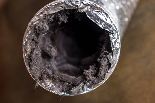 Best HVAC System Cleaning  in Hernando Beach, FL