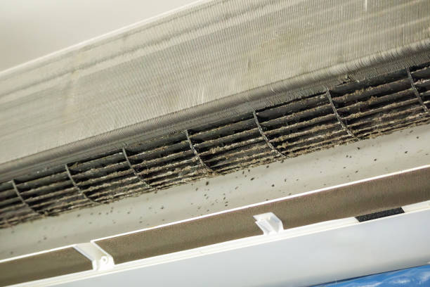 Best Affordable Air Duct Cleaning  in Hernando Beach, FL